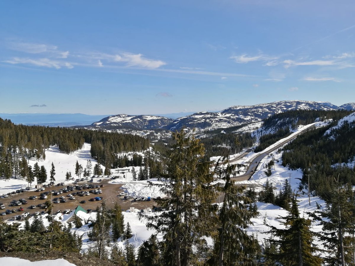 Jonathan R. Rose tweet media