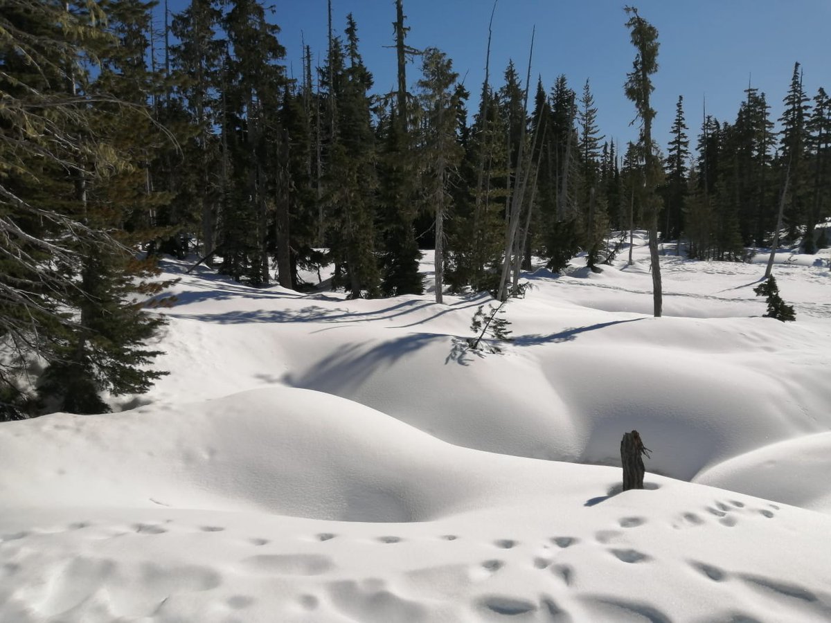 Jonathan R. Rose tweet media