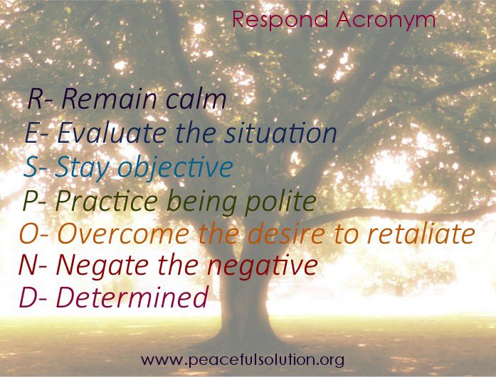 Peaceful Solution tweet media
