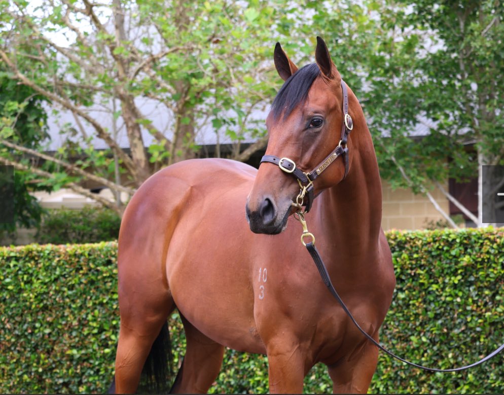 Cassar Racing tweet media