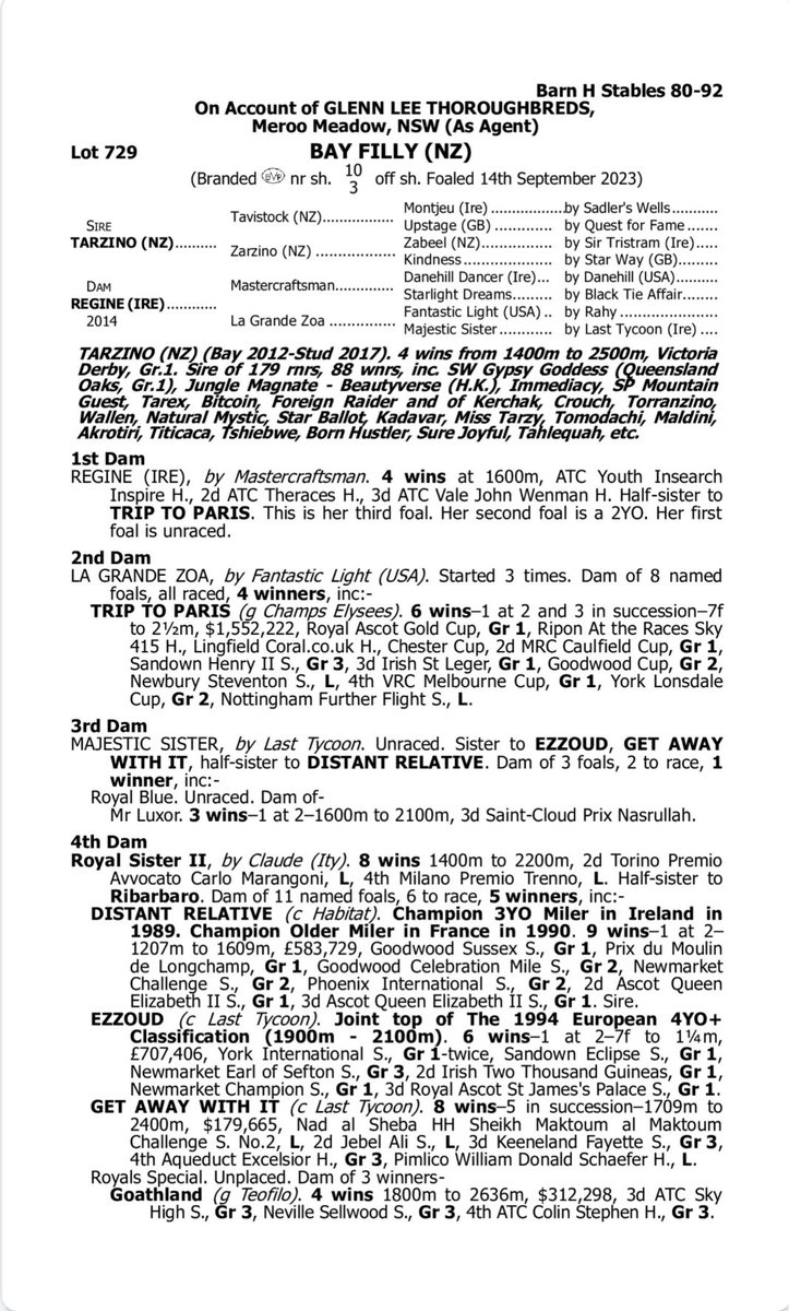 Cassar Racing tweet media