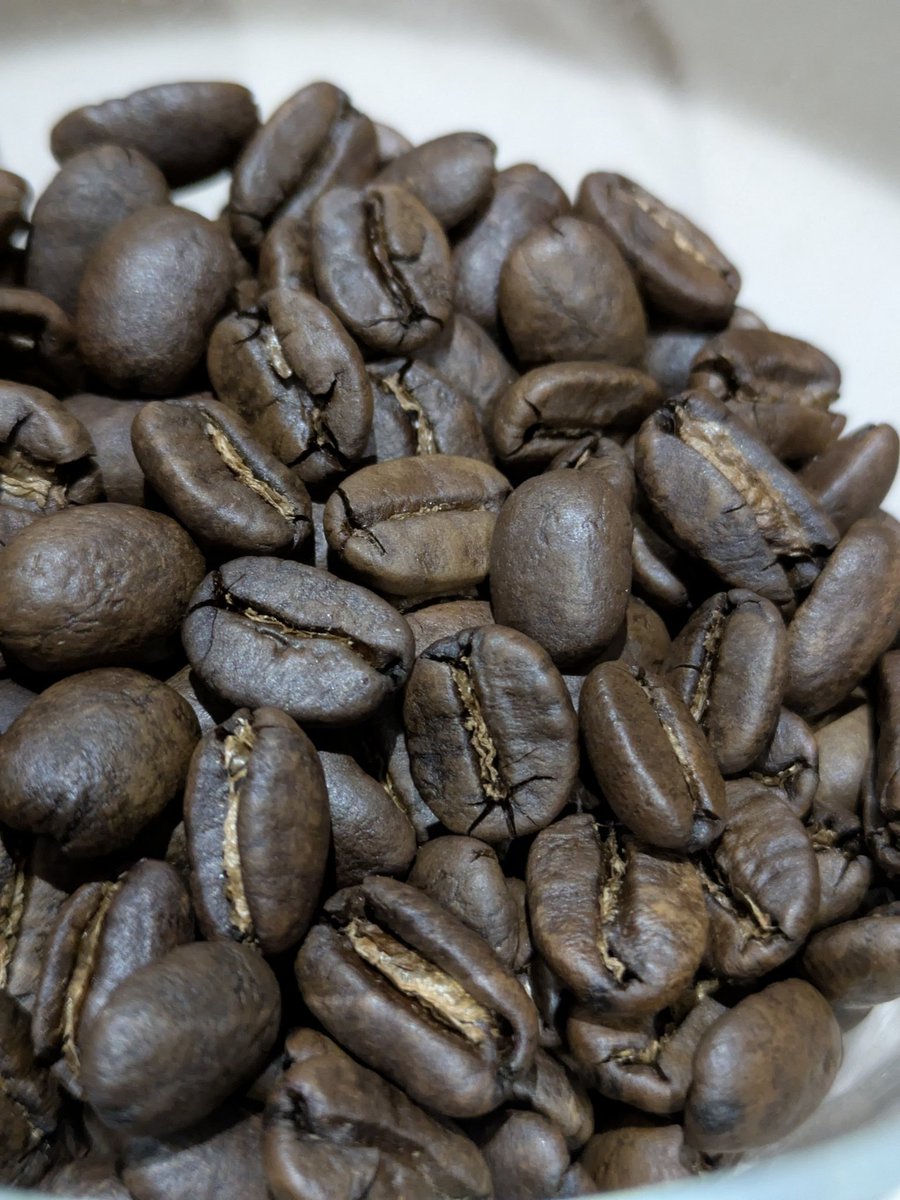 YonosukeCoffee's tweet photo. インドネシア・マンデリンの中煎り（ハイロースト）、いつもより焙煎は浅目。マンデリンらしく酸味がないけど、桃のフレーバーを感じる、これくらいがいいかんじ

今日は春の嵐が吹き荒れてます、横殴りの雨

#コーヒー豆 #焙煎 #鹿児島コーヒー #焙煎店 #コーヒー好き #日本百名山 #開聞岳 #釜蓋神社 https://t.co/kTOzOCax8n