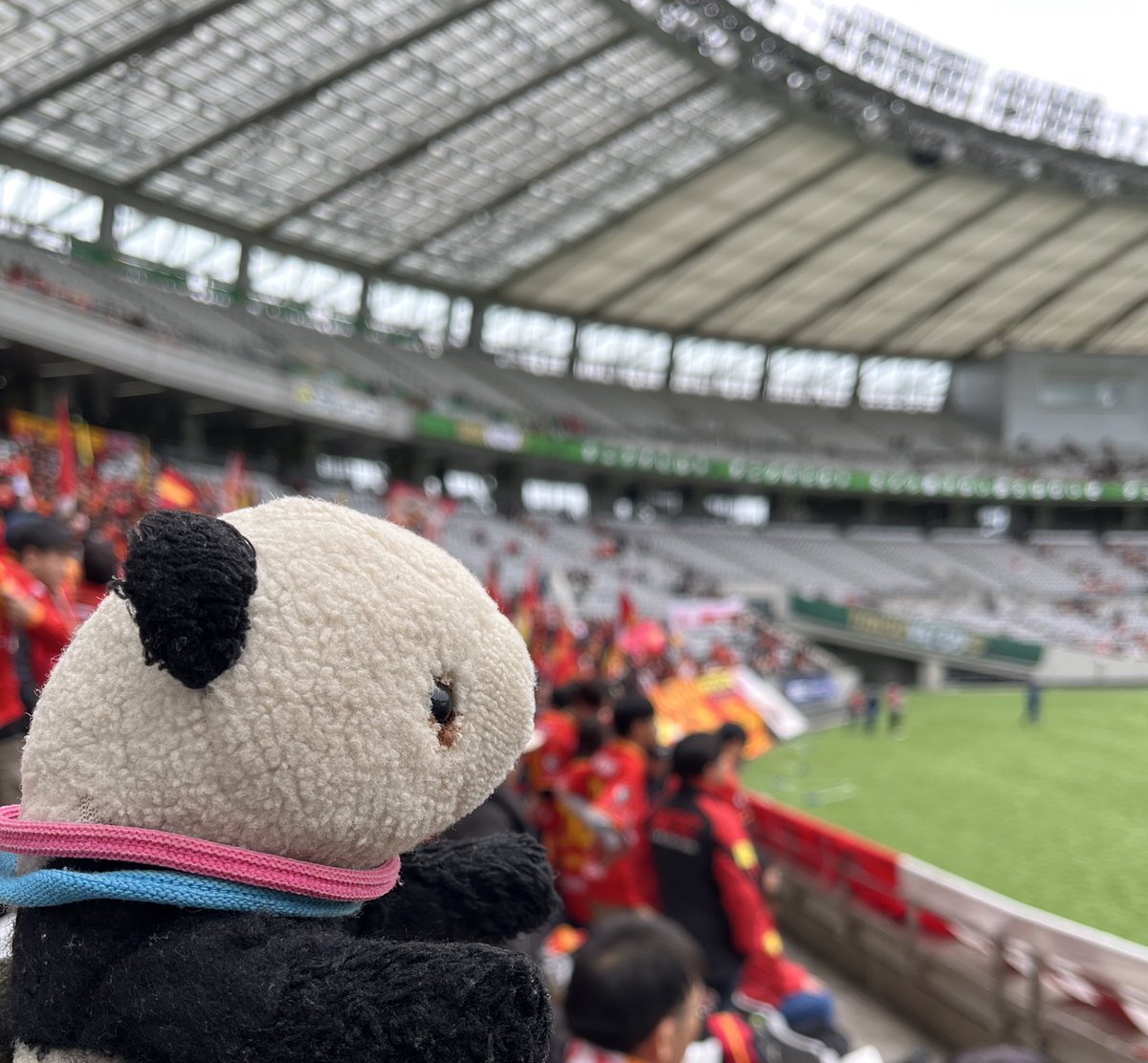 kaminko's tweet photo. このまま初勝利お願い https://t.co/eUlMWaPs4w