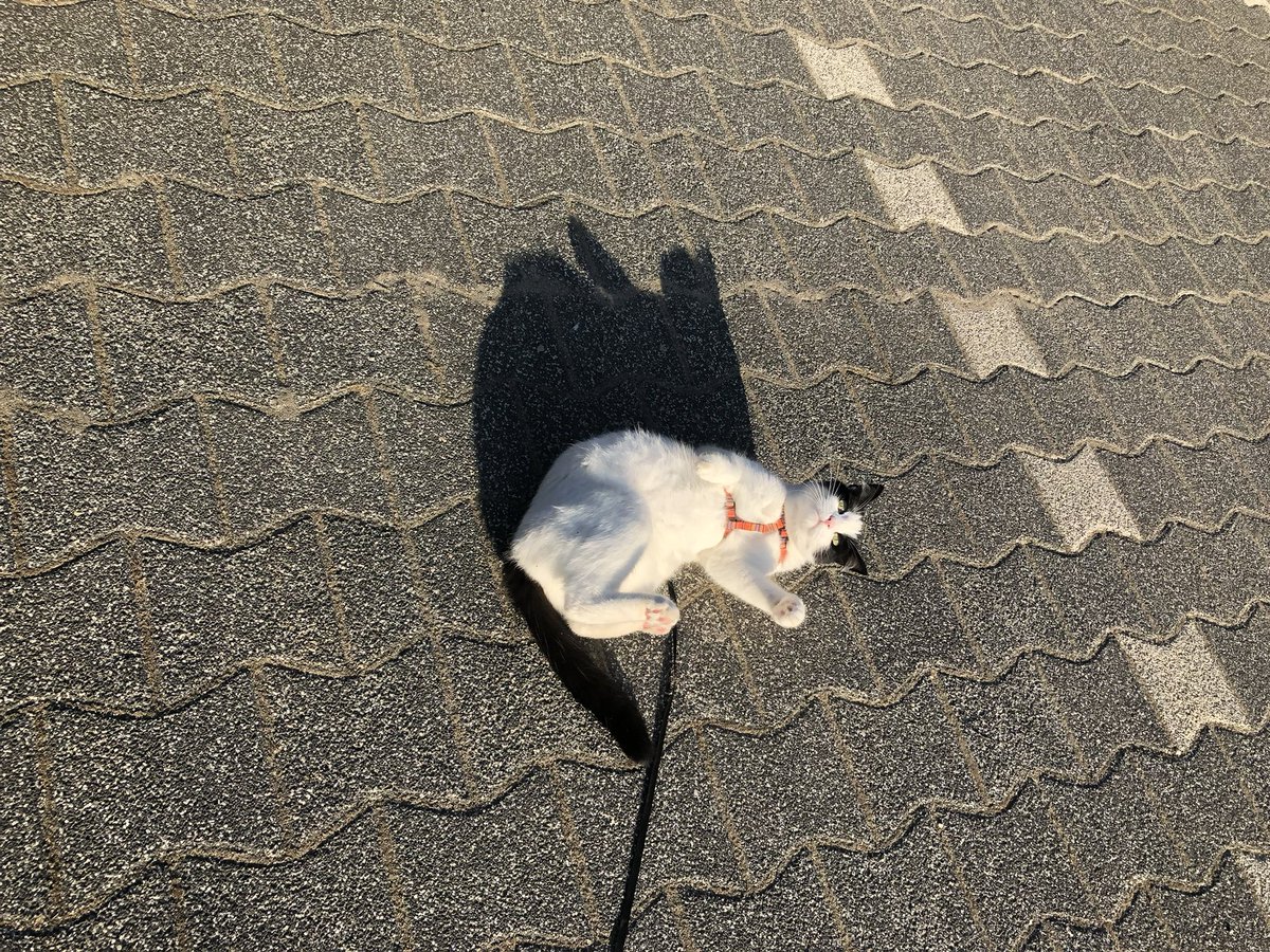 Coffee nin Babası tweet media