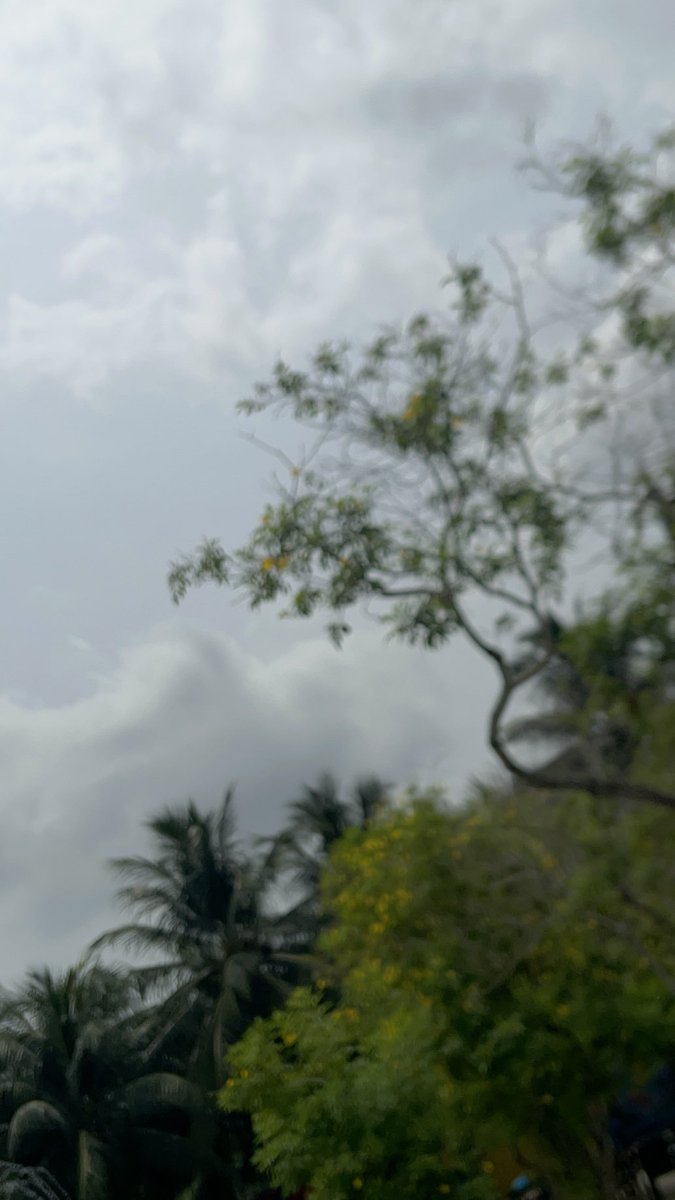 thegrandeditor's tweet photo. The day is cloudy https://t.co/KhAORqdseQ