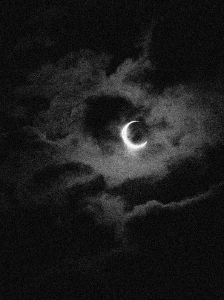 darling ᧔ෆ᧓ tweet media