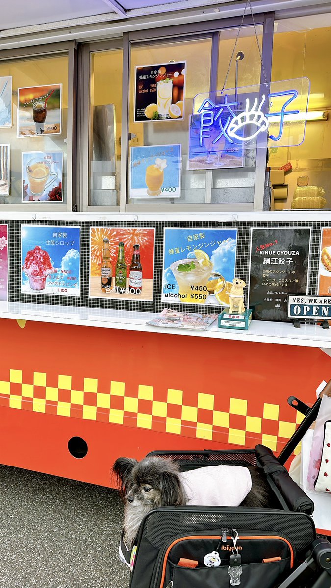 Manamiv's tweet photo. お買い物とかし終えて、休憩タイム〜😋

寒いから温かい物が欲しくなった🙂

餃子、スモアサンド、ホットレモンジンジャー、いただきまーす！

#柏の葉公園DogFesta
#NUMBER12
#絹江餃子 https://t.co/i2ZlRFF6Je