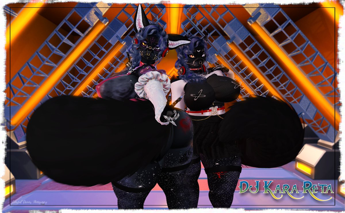 karareta592's tweet photo. Redid my DJ Photo now that I'm happy with my sona. Maybe will add my human in there at some point...but for now, gonna keep it just my fox and my kitty!

#slfurry #furry #furryphotography #furryDJ https://t.co/RO9b0G58y7