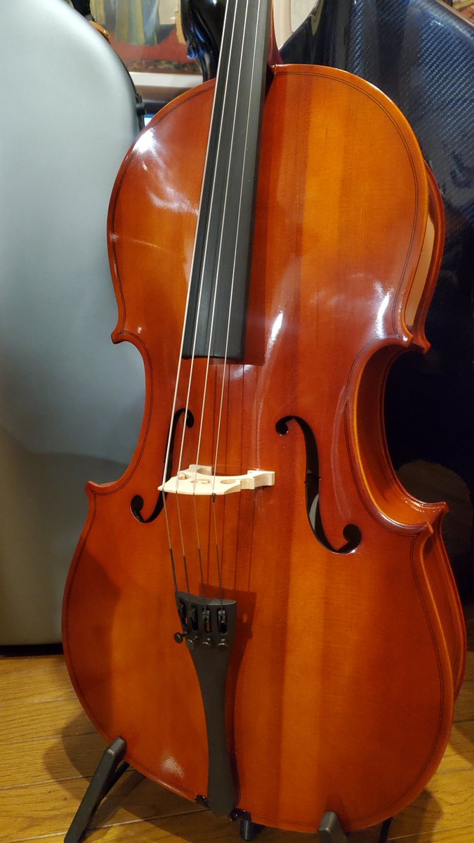 古賀弦楽器🎻渋谷区恵比寿✨バイオリン♪ビオラ♪チェロ 古賀弦楽器🎻渋谷区恵比寿✨バイオリン♪ビオラ♪チェロ
