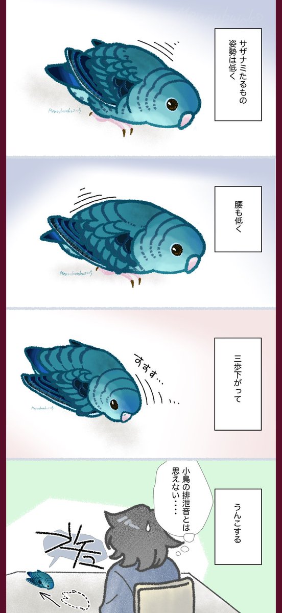 15日だよ、インコの日だよー。
サザナミのサザナミたる所以である。 