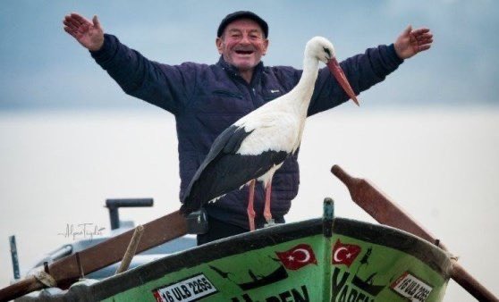 Uzaktan hiç görmeden, yıllardır bu saf sevginin ve heyecanla beklemenin vermiş olduğu mutluluğu tarif edemem. Baharın gelişinin simgesi oldu artık yaren leylek
#yarenleylek