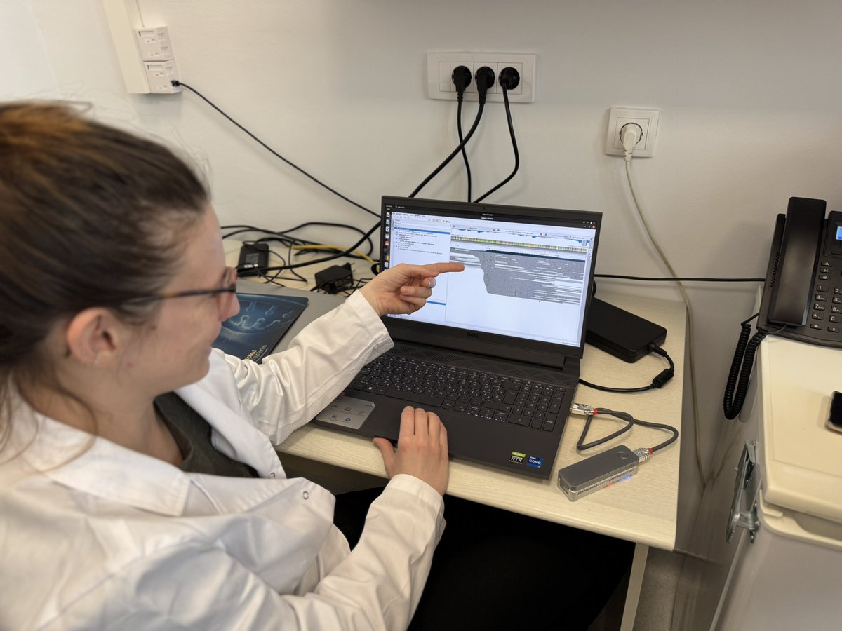 Gabor Kemenesi tweet media