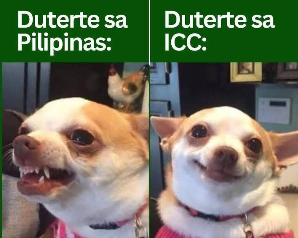 _MIGZ29's tweet photo. ctto. https://t.co/QI0oxyOLSf