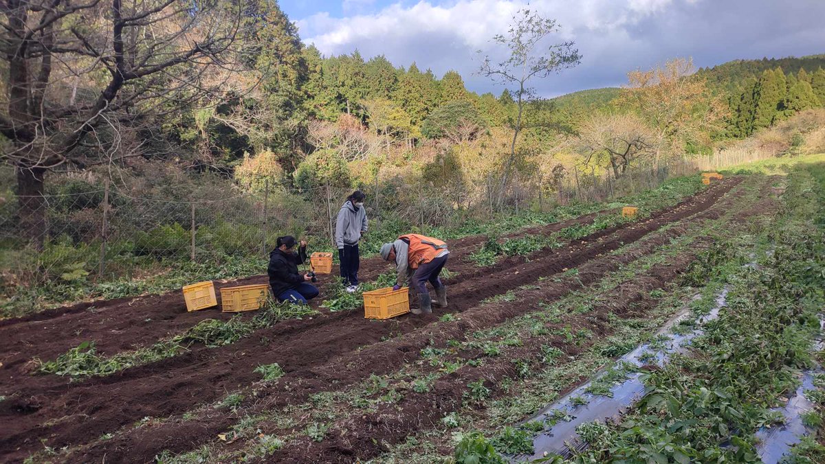 ko_mina_tabel's tweet photo. 今回は、湯の鶴の奥地の山間部で野菜づくりに取り組む森下敦さんを特集しました。

森下さんは「フクちゃん農園」という名前で野菜をつくっておられますが、実は水俣高校の定時制に通う現役高校生でもあります！！
なので今回は、高校生が高校生を取材😆 https://t.co/sNP1ndxTdk