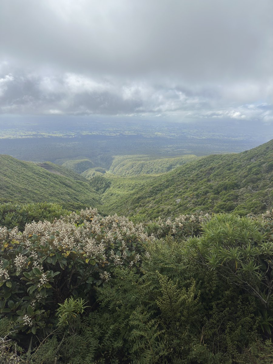 walking alone with nature (@justmenature) on Twitter photo 