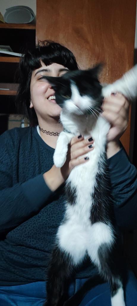 Pinchinecro's tweet photo. #ECDQEMSD un gato con cara de pito y cuerpo de sr lagartija 🖤🖤🖤 https://t.co/IWgQiyXHc0
