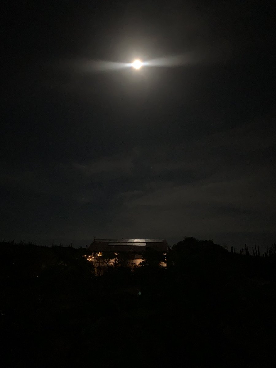 Kees_Stam's tweet photo. De maan ‘schijnt’ momenteel zo fel
dat de zonnepanelen 3.84V genereren……..
#Bonaire #Moonpower https://t.co/lDlpcqsDG6