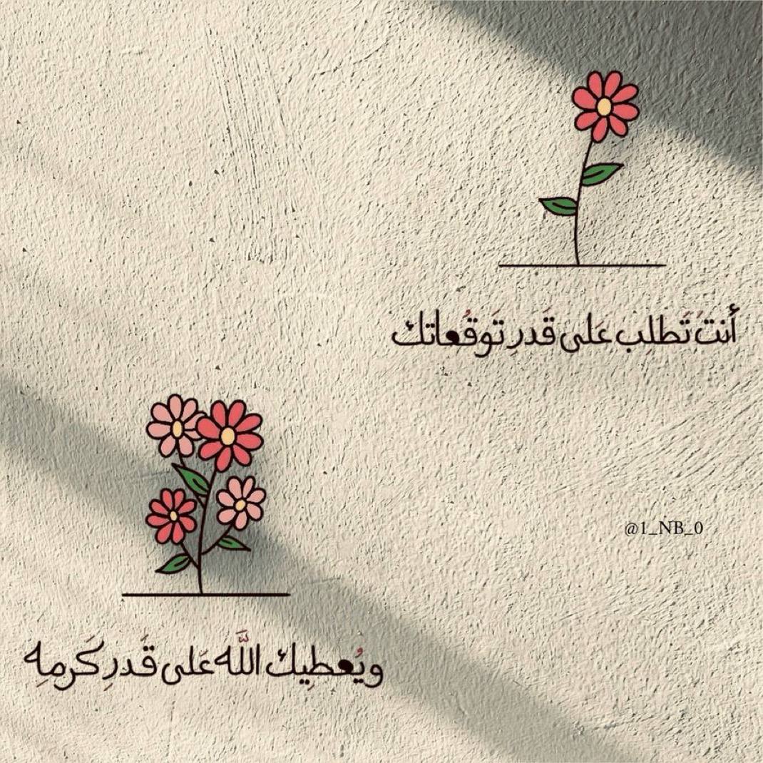 🐝Naglaa Fathy🐝 (@naglaa11778970) on Twitter photo 