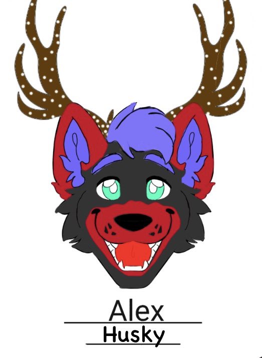 HuskyAlex_00's tweet photo. @lem0na1d_ Thank you for the chance to find a raffle 🥰🥰 I don’t have much art of Alex. ❤️❤️ https://t.co/a4Yqs6LKqU