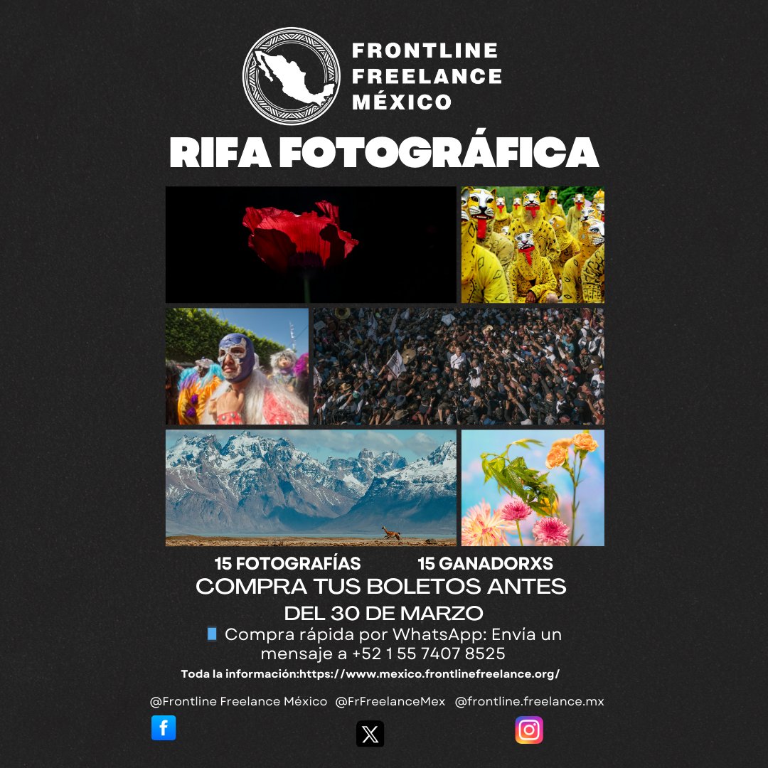 Frontline Freelance MX tweet media