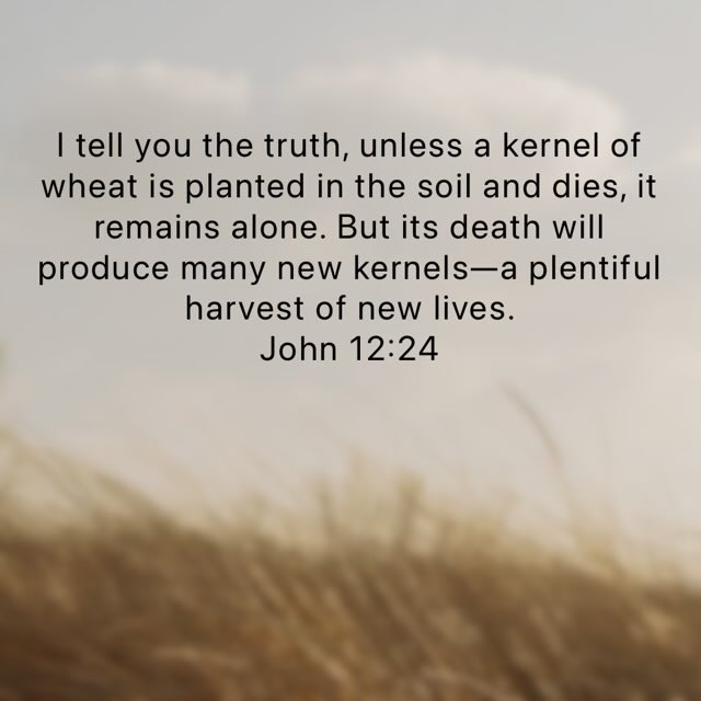 david_rutz's tweet image. What Jesus Said!