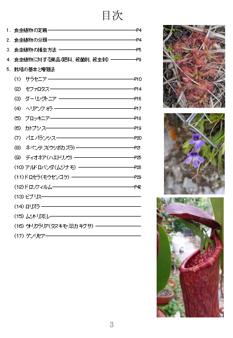 jcpstanabe's tweet photo. 食虫植物栽培完全マスター（仮）
こんな本を作成中です
完成は今年の12月までにできればいいかなと
食虫植物の栽培をメインにした解説本です
何ページになるか分かりませんが、ドロソフィルムまで終わって40ページなので、100ページぐらいかな？
A６情報誌サイズのハンドブックです
のんびりやってます https://t.co/8JZ10HBcUA