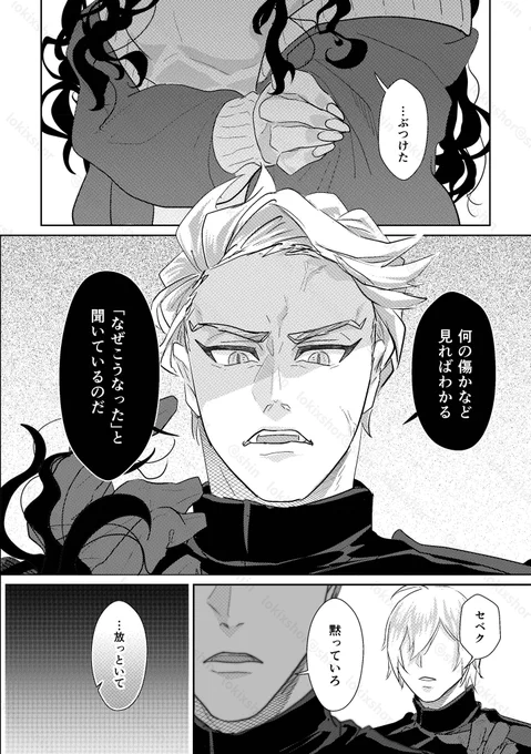 【茨の女と美徳の夜】大人セベ監③
卒業後、近衛の騎士となったセベ⚡️と悪い男でボロボロになっている監🌸が再会する話 