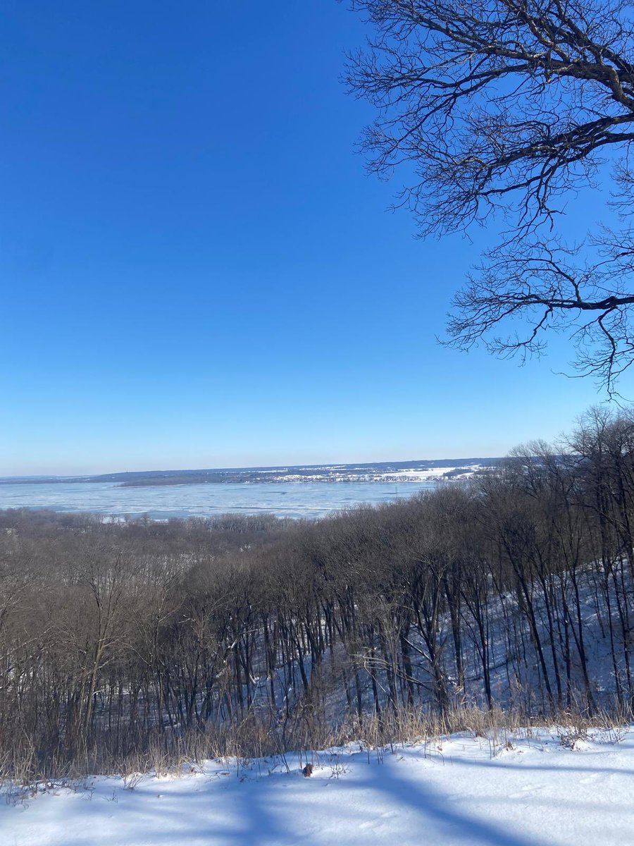 Ritcha Saxena, MD tweet media