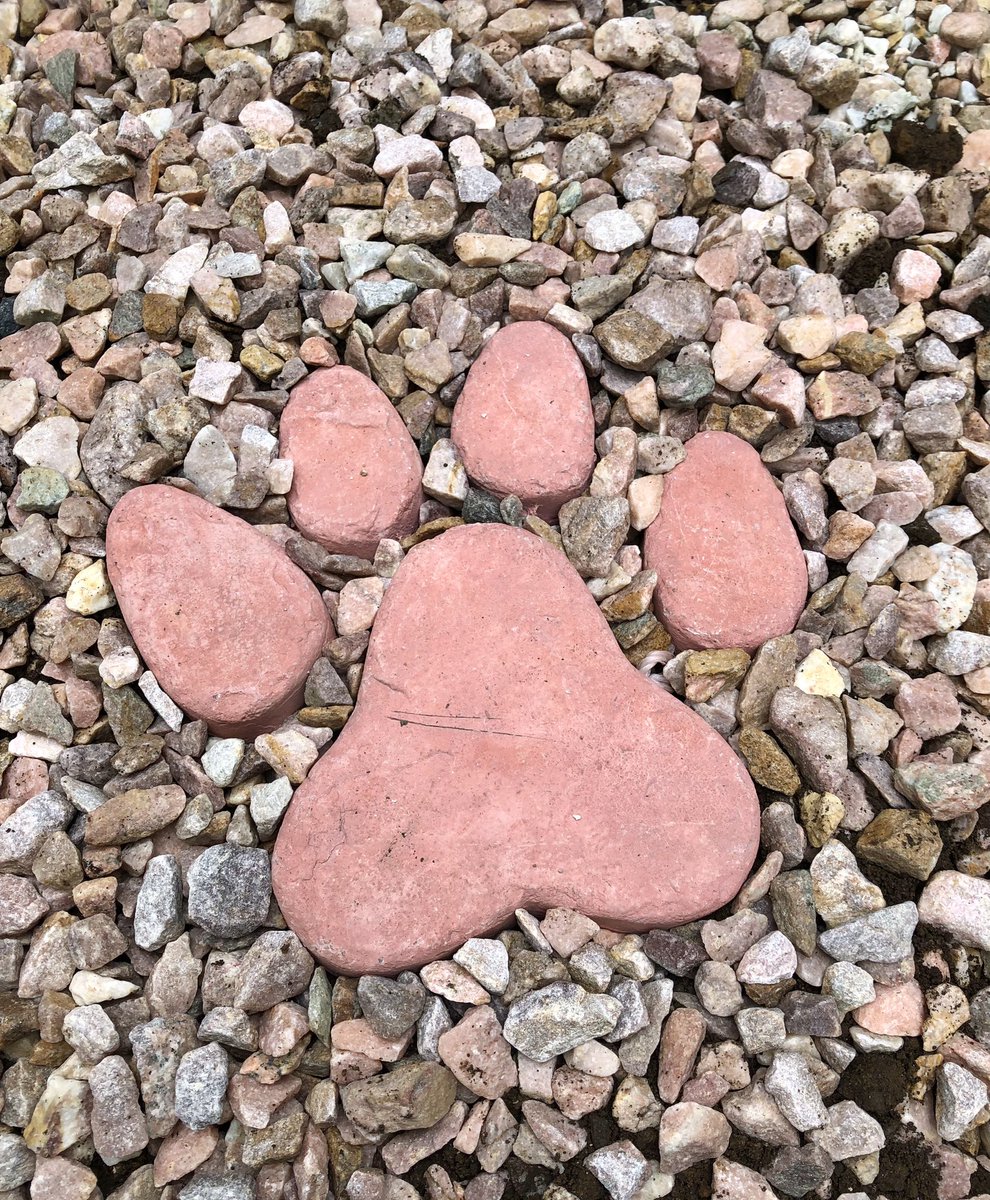 CANA30207831's tweet photo. クッペちゃん虹の橋を渡りました🌈
二人合わせてクッちゃんズ
皆様ありがとうございました。

#クッペちゃん
#クッポちゃん
#クッちゃんズ
#モフ曜日
#モフらいでー
#猫の居る暮らし https://t.co/FXNCwuOP2H