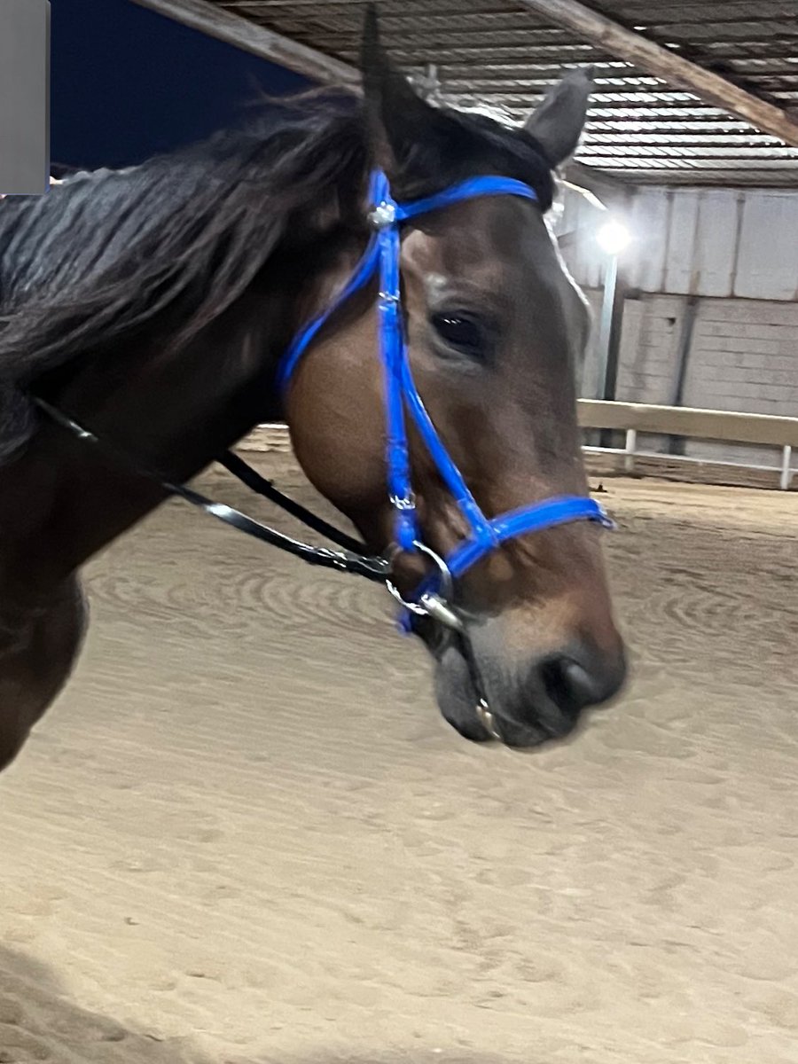 RP module ✓
AND 2 LEFT ★