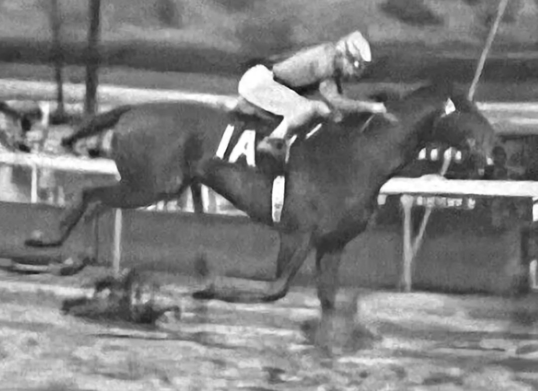 HORSERACING1002's tweet photo. OLDEN TIMES 🇺🇸 1958
(RELIC - DJENNE BY DJEBEL)#OldenTimes
1962 San Antonio Handicap https://t.co/D8Btx2BCoE