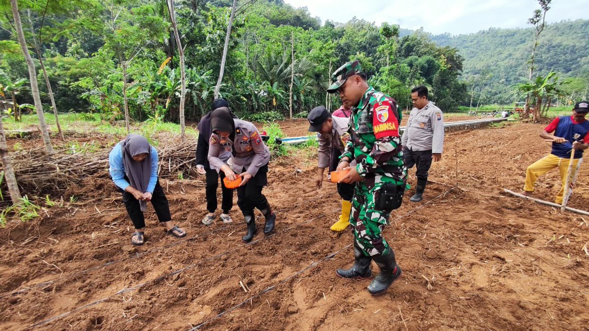 tmc_respas's tweet photo. Polri dalam hal ini Polda Jatim khususnya Polres Pacitan Polda Jatim, sesuai petunjuk dan arahan Karo SDM Polda Jatim Kombes Pol Ari Wibowo, S.I.K., M.H. selaku ketua satuan ketahanan pangan Polda Jatim kepada Polres Jajaran terkait dengan analisa

#astacita #swasembadapangan https://t.co/gvtt3aSogN