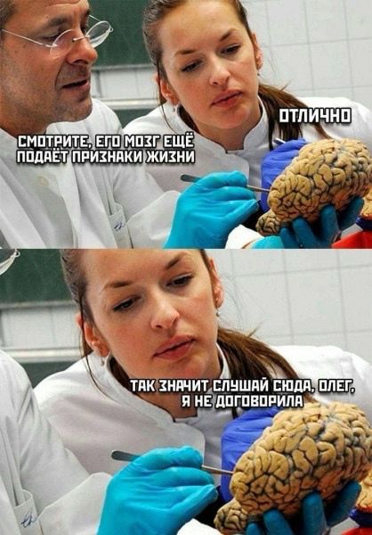 CuteIsJustMyCover (@secret36885291) on Twitter photo 