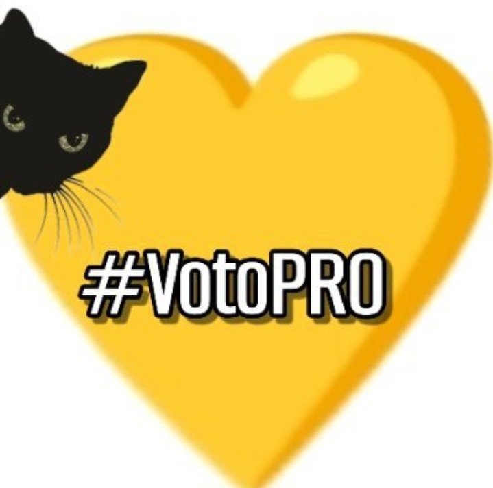 Buenas noches amigos macristas!! Hay q seguir con el #ProyectoMacri asiq mañana anotarse es una obligación. #SiSePuede
Qué descansen!!! 🐱💛💛