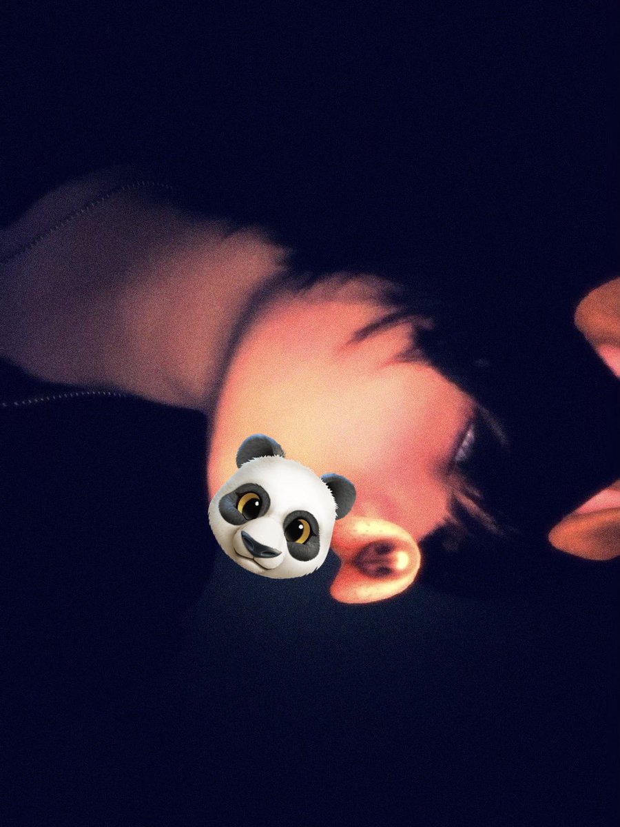 Romeo .• -11/-40kg•. tweet media