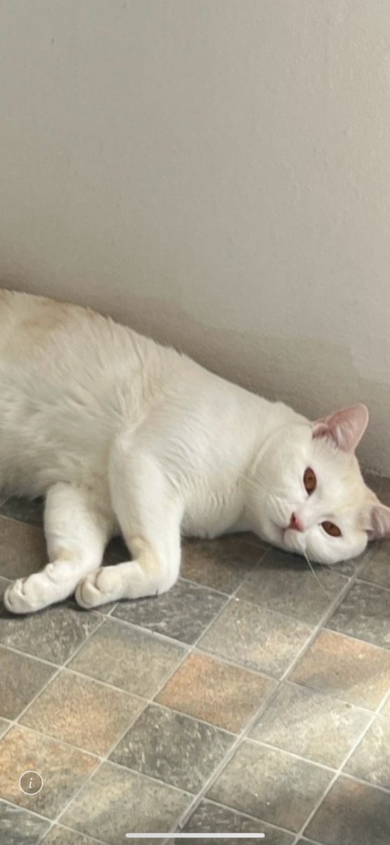 Crazycrow99's tweet image. หน้านอนแนบ เท้าชิดกำแพงค้าบ
@chawkunn