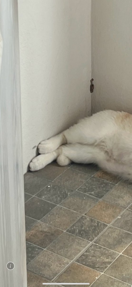 Crazycrow99's tweet image. หน้านอนแนบ เท้าชิดกำแพงค้าบ
@chawkunn