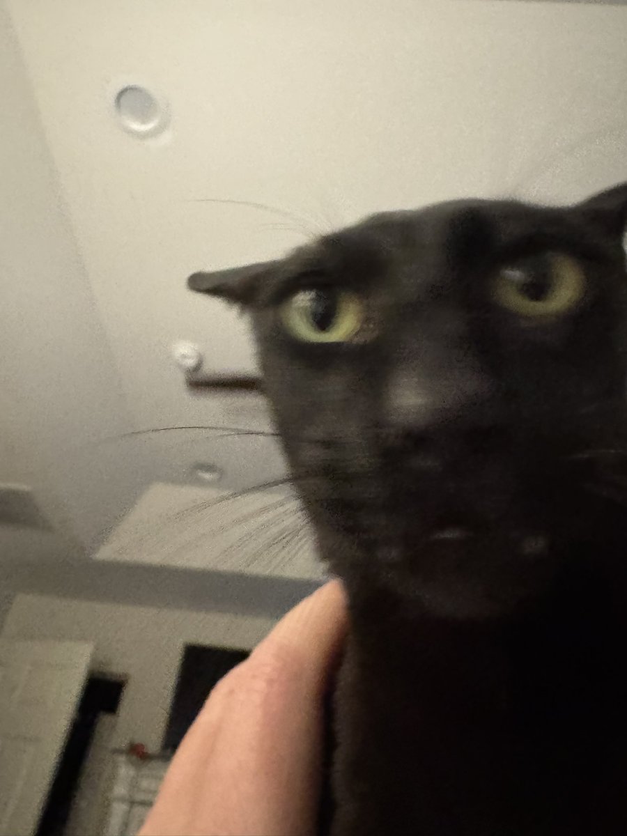 Another crazy week with Evil Larry