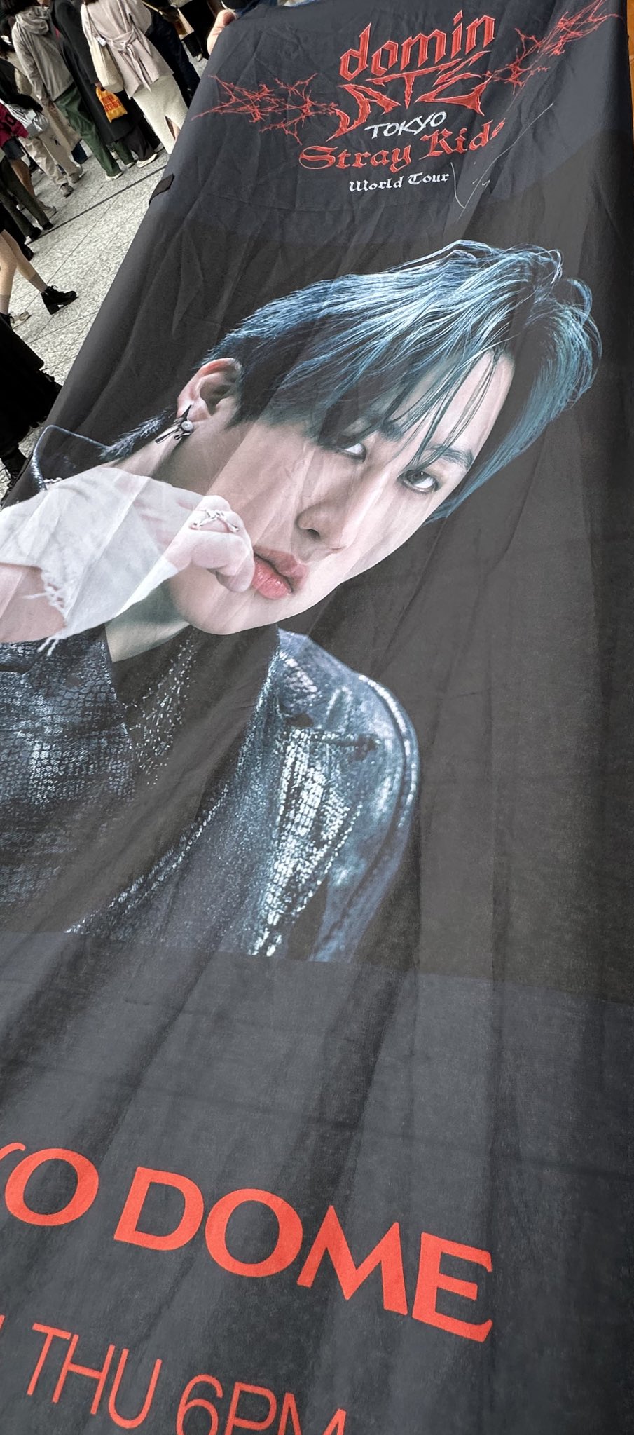 Stray Kids スキズ　GIANT 当選 フラッグ 直筆サイン チャンビン Stray Kids スキズ GIANT 当選 フラッグ 直筆サイン チャンビン