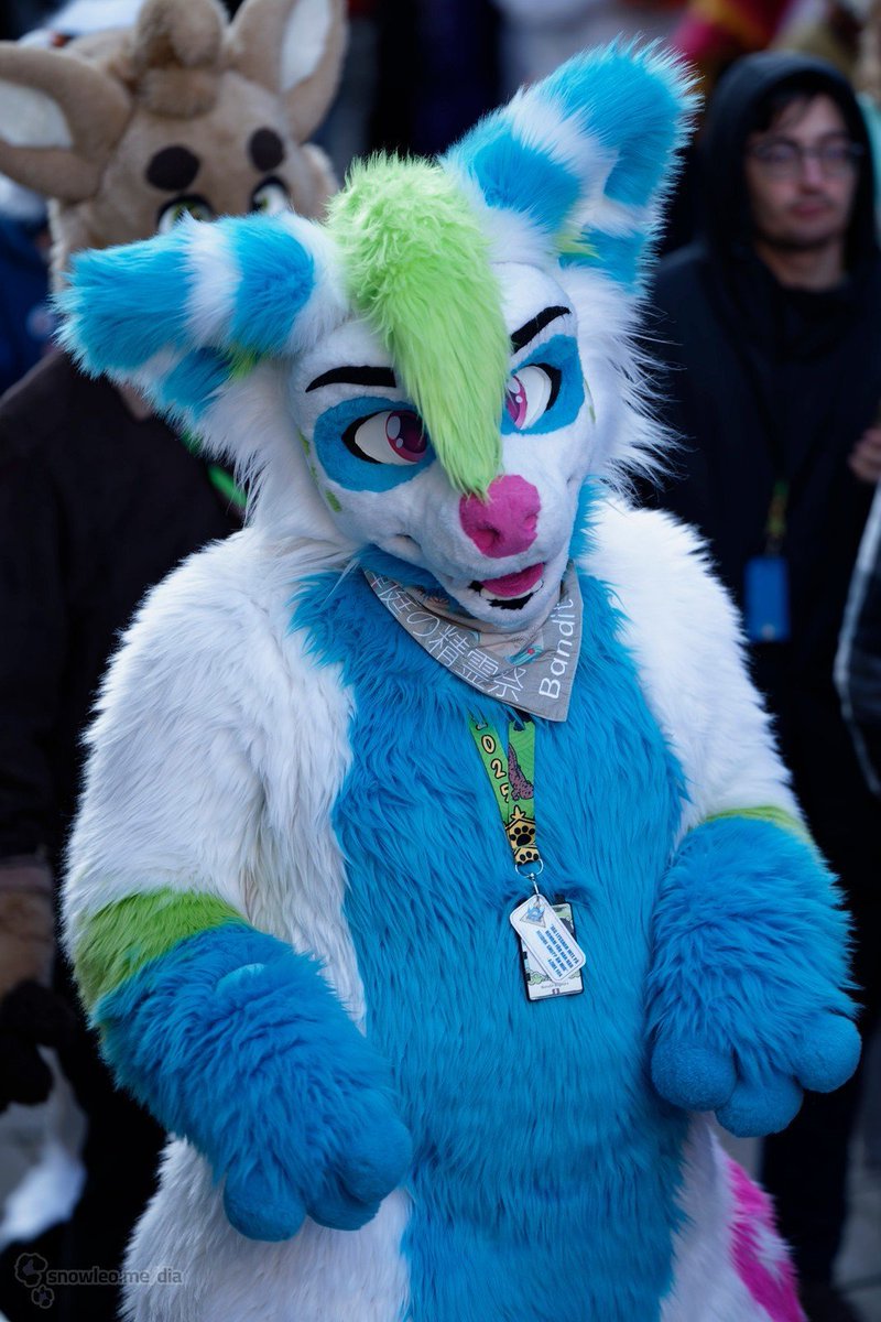 Bandit Bigears ๐ FE ๐ก FWA (@banditfoxchilla) on Twitter photo Super last minute #fursuitfriday
Missing everyone from @nordicfuzzcon this year, wish I lived close enough to see them all every day!
๐ธ<a href="/KimuraSnepShots/">KimuraSnepShots</a>
#furry #fursuiteveryday #fursuit Super last minute #fursuitfriday
Missing everyone from @nordicfuzzcon this year, wish I lived close enough to see them all every day!
๐ธ<a href="/KimuraSnepShots/">KimuraSnepShots</a>
#furry #fursuiteveryday #fursuit