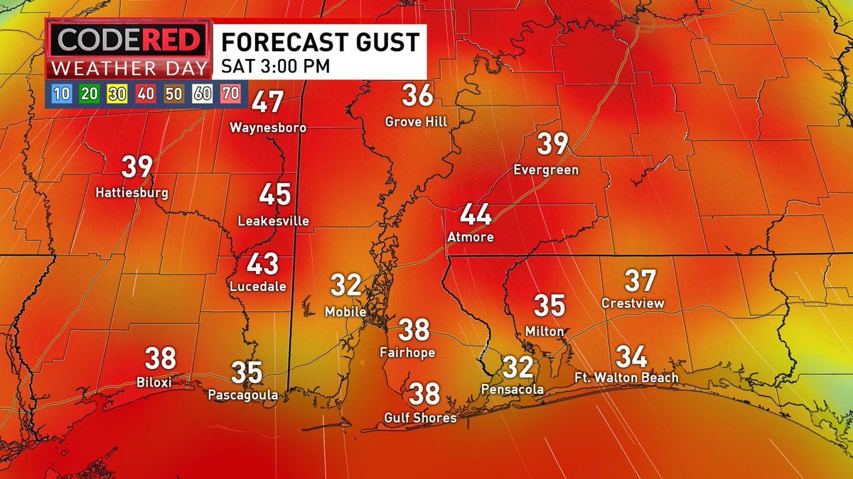 Thomas Geboy tweet media