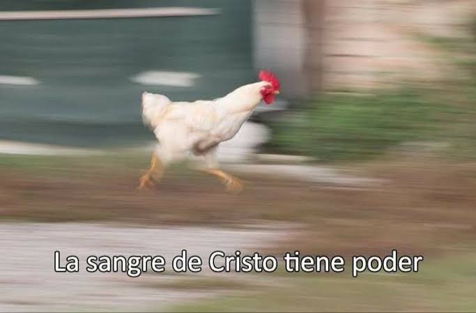 Yo escuchando la alerta sísmica
#Sismo #temblor #alertasismica