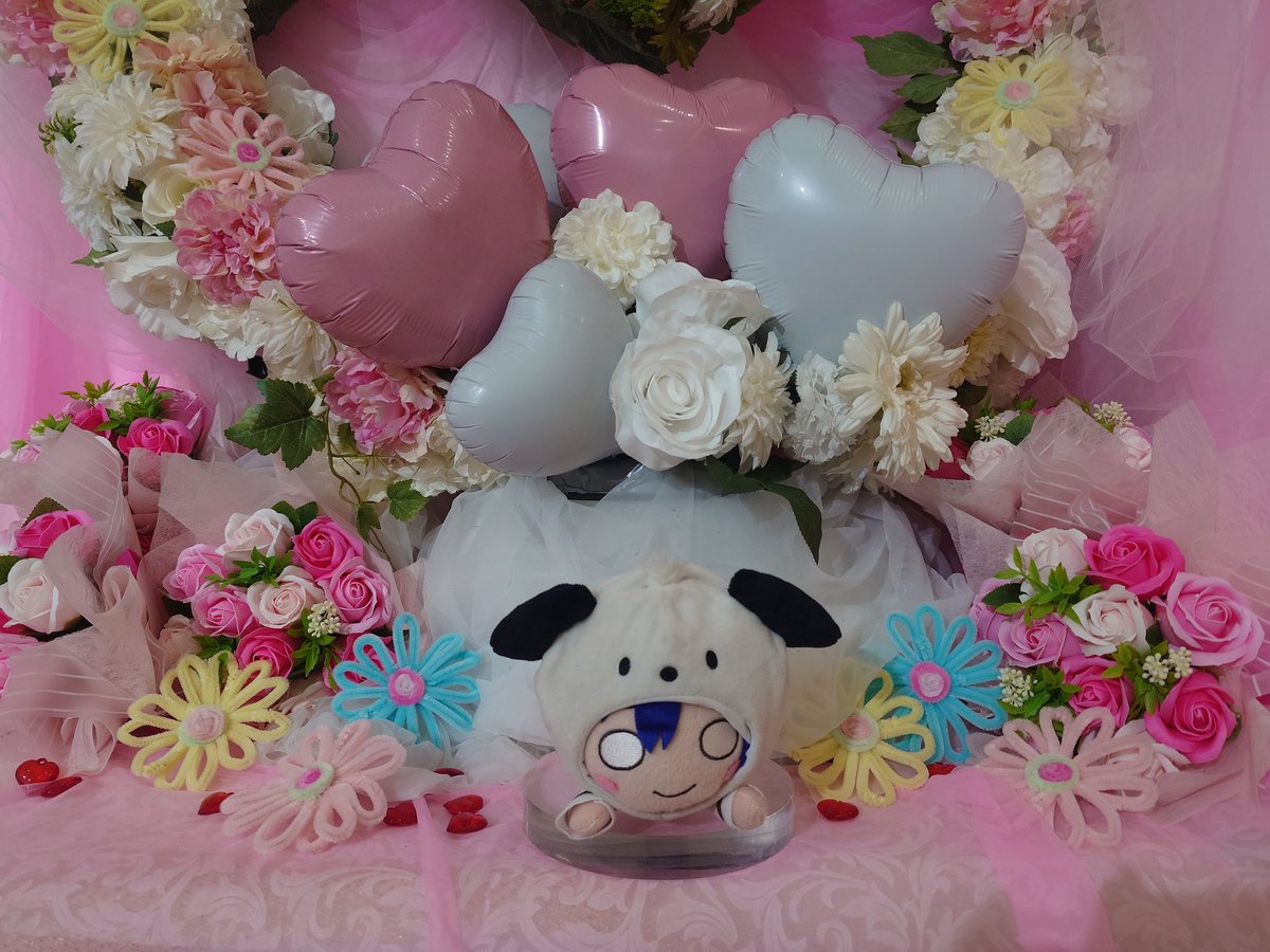 Y0cxIksjlPwQRUE's tweet photo. まずは
原宿で海未ちゃんの誕生日を祝いました
#園田海未生誕祭2025 
#園田海未誕生祭2025 
#PremiumShop
#ポチャッコ https://t.co/kZv1K9zrGN