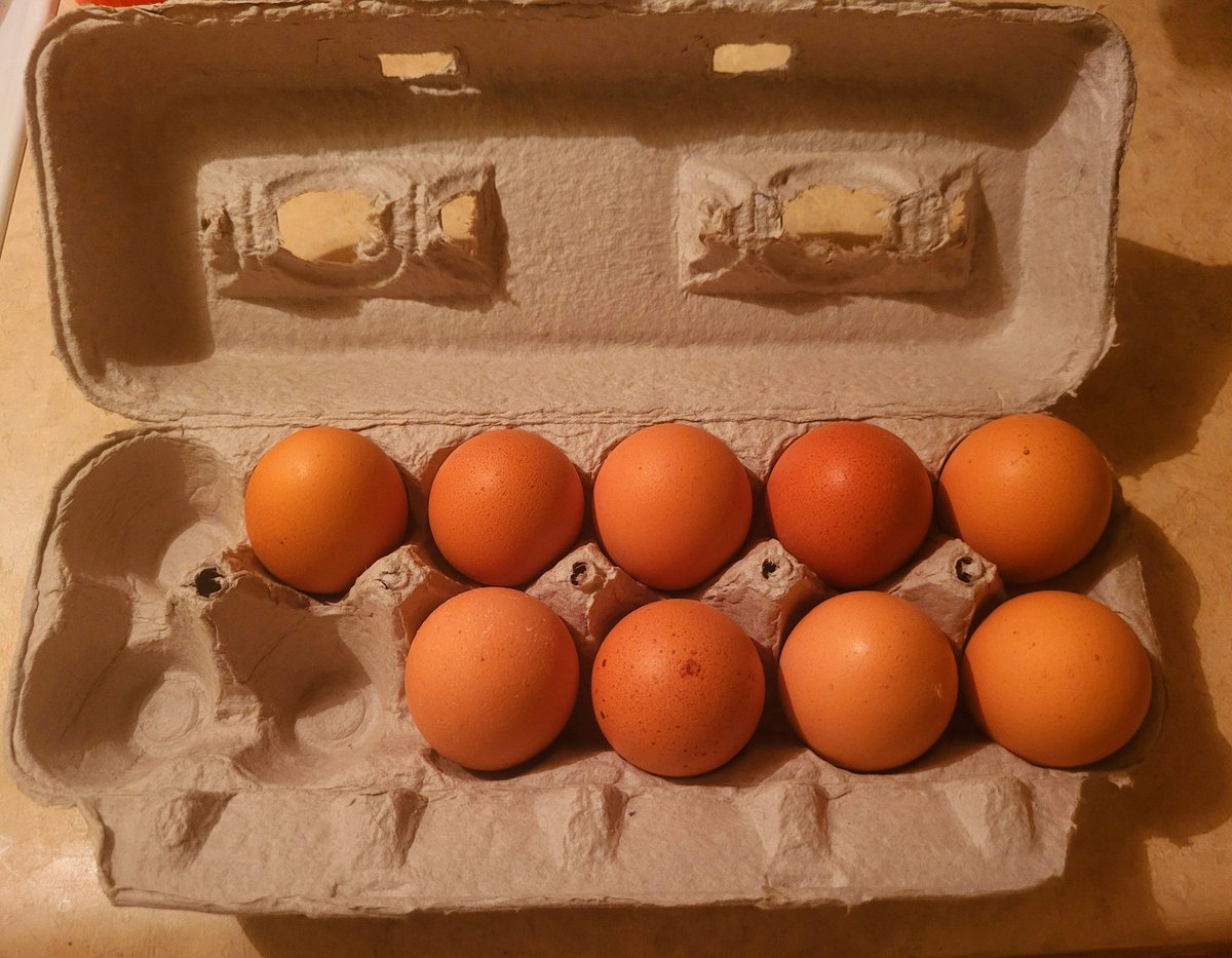 All we have heard from the left is "What about the egg prices!"

We  buy eggs from our  local Mennonite store. We pay $2.39 a dozen for farm fresh eggs. 

We keep the cost down by returning the cartons each week. 

But what do we know, we are uneducated country folk. RIGHT!