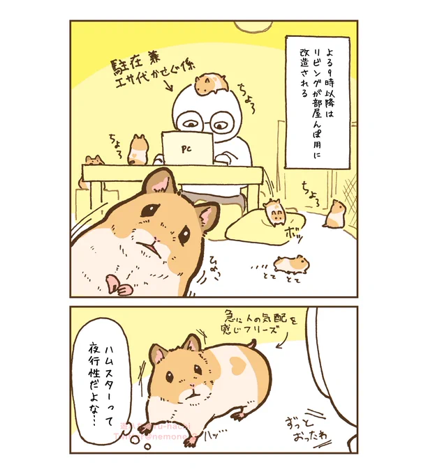 みたさん再掲(1/2) 