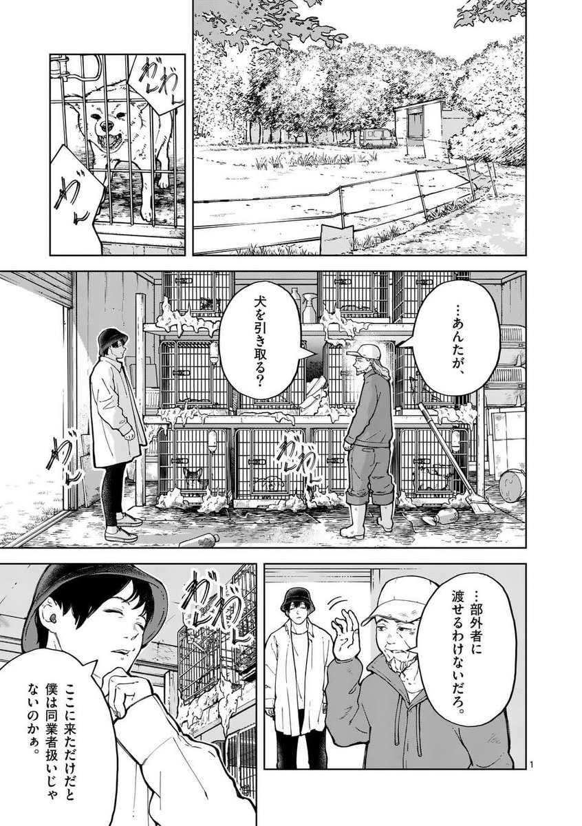 ペットショップにイヌを虐待する客が来たら?(1/5) 