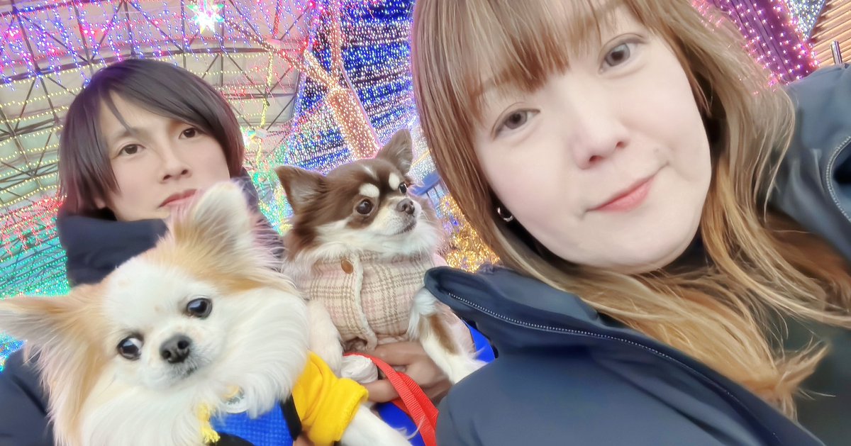 _m20170131k_'s tweet photo. これから宮崎へ旅立ちます🪽🫧

下関でお世話になった方々ありがとうございました!(´▽｀)

みなさまお元気で👋

いつの日かまた……(ू•⥿•ू⑅) https://t.co/UqWCnon9lP