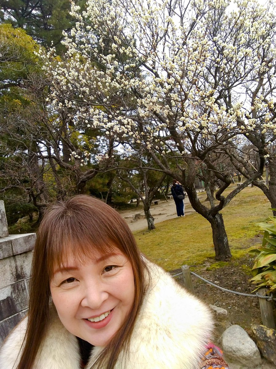 PR_chemmy's tweet photo. 気温８度の新潟市。白山神社の梅花が美し��です。 https://t.co/EWTcs16o2g