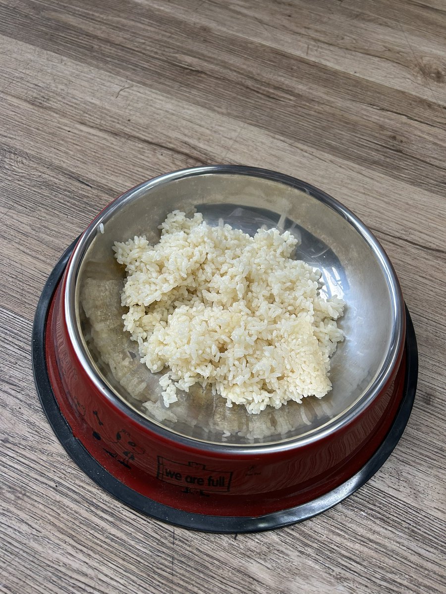 Derek43594065's tweet photo. 下雨不出门 狗做饭用什么水呢 当然要用狗尿晨尿啦 https://t.co/QgSi5pp94D