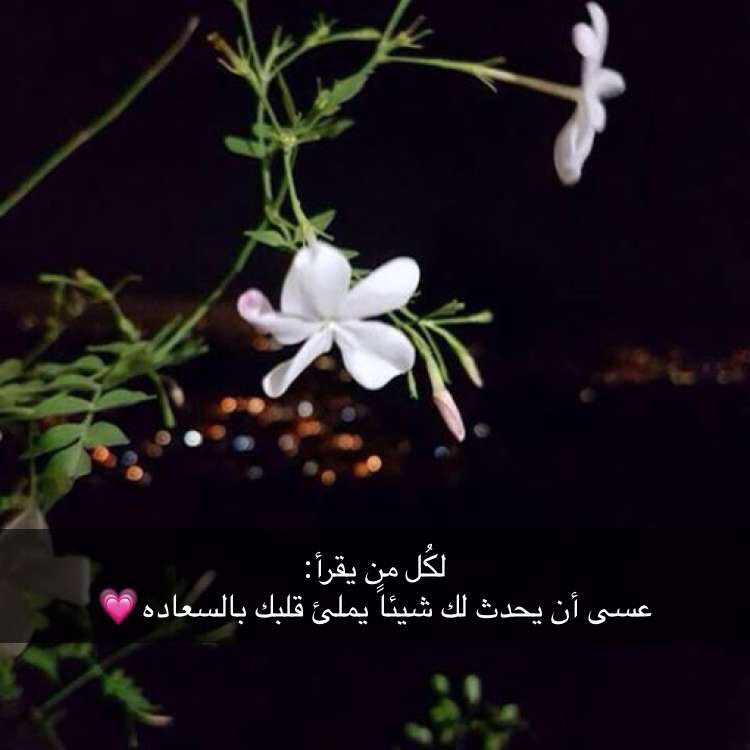 #رمضان15

#صباح_الخير